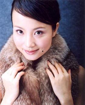 钟艳萍个人资料,才华横溢的杰出女性，事业与家庭兼顾的典范